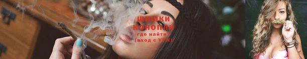 ГАЛЛЮЦИНОГЕННЫЕ ГРИБЫ Алзамай