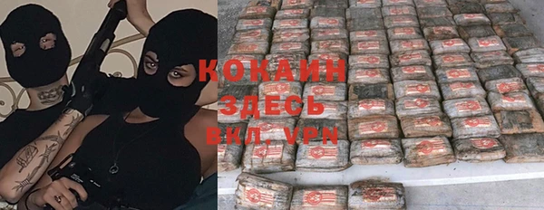 ГАЛЛЮЦИНОГЕННЫЕ ГРИБЫ Алзамай