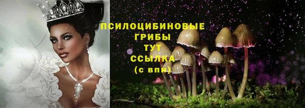 круглые Алексин