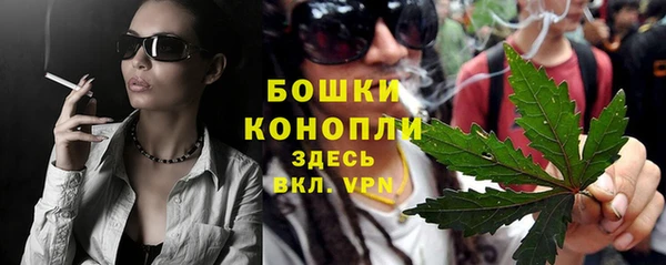 ГАЛЛЮЦИНОГЕННЫЕ ГРИБЫ Алзамай