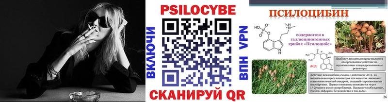 ОМГ ОМГ зеркало  Плавск  Псилоцибиновые грибы Cubensis  где найти наркотики 